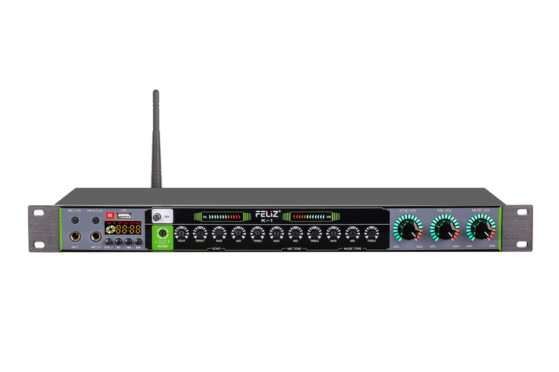 K-1 Procesador de karaoke profesional con control remoto